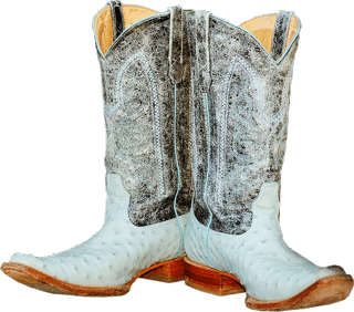 Fancy Cowboy Boots