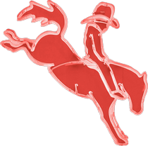 Bushwackers Logo 210